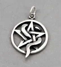Daire içinde beş köşeli yıldızın kollarına sarılmış yılan motifli 925 ayar gümüş kolye
